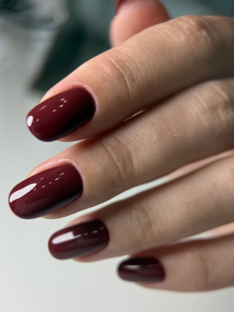 DA'23 GEL POLISH ‘PROUD STYLE, 8 ml – lakier hybrydowy (bordowy)